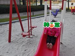 -上海佘山世茂艾美酒店