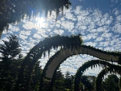 -云溪植物园