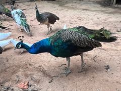 -西湖区图书馆(古墩路)