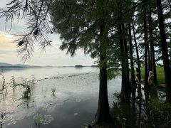 -长广溪湿地公园