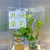 简直就是春天里必喝的奶茶好吗️ 茉莉柠檬茶
