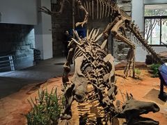 -自贡恐龙博物馆