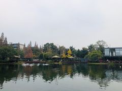 -成飞公园