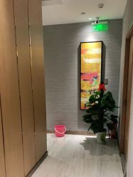 -苑苑vbeauty科技美容SPA