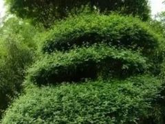 -苏州河梦清园环保主题公园