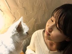-豆老板的猫咖啡(碑林博物馆店)