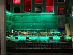 水产区-JUKEBOX玖部音乐餐厅(华侨城店)