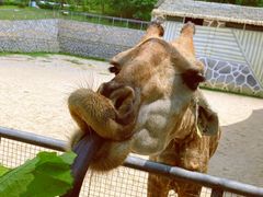 -泉州海丝野生动物世界
