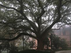 -之江大学-旧址