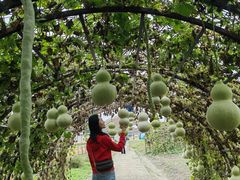 -中国天府农业博览园