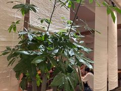 -七色云蔬食(喜邻里店)