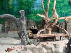 -灵玲国际马戏城