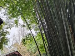 -成都杜甫草堂博物馆