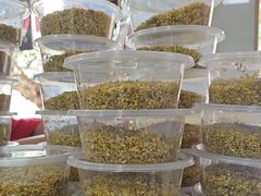 -罗子龙罗家桂花汤圆(曹都巷店)