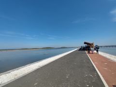 -南大港湿地风景区