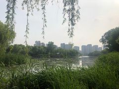 -新江湾城公园