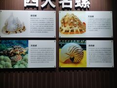 -贝壳王国博物馆
