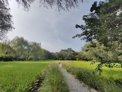 -北坞公园