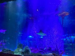 -沈阳海洋探索中心