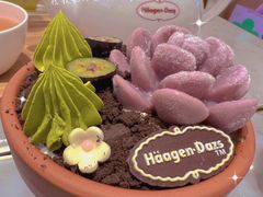 -哈根达斯(大悦城店)