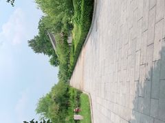 -杨柳青庄园