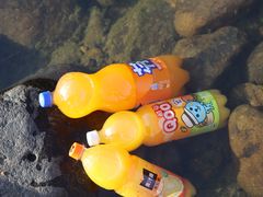 -喃喃椰·糟粕醋·椰子鸡火锅(七堡花园店)