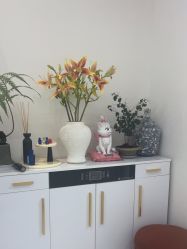 -WENDY·温迪皮肤管理