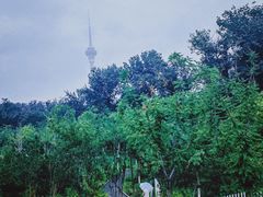 -中国宋庆龄青少年科技文化交流中心