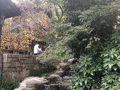 -中国茶叶博物馆(双峰馆区)