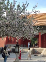 点击看大图 -美云庭古装·格格服汉服·京城旅拍(北京店)
