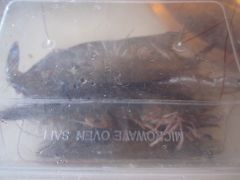 -三亚海韵度假酒店·渔人码头海鲜火锅BBQ自助餐厅·落日吧