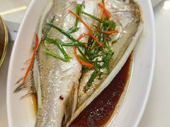 -日日香卤鹅饭店·澄海狮头鹅(澄海店)