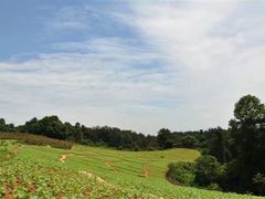 -保利石象湖景区