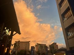 -三亚湾红树林国际会展中心(演出售票)