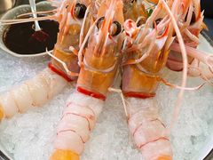 -斯普汇生蚝牛排馆(中骏世界城店)