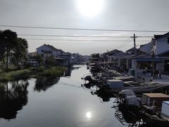 -莲花岛景区