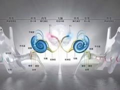 -自然之声助听器·呼吸机(翠微大厦店)