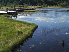 -塞罕坝国家级自然保护区