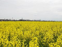 -汉中石门栈道景区