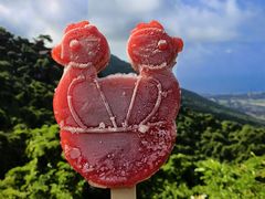 -亚龙湾热带天堂森林公园