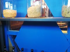 -菲滋BOX(定海凯虹店)