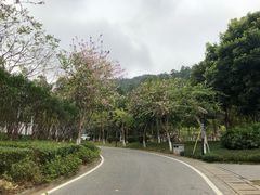 -火炉山森林公园