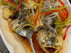 -前海沿·青岛菜(大拇指广场石老人店)