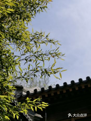 鼓楼吃完饭之后沿着鼓楼大街溜达，溜达到静水咖啡馆