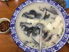-全乐鱼馆·淳牌有机鱼直营店