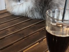 -Cappucimeow猫咪咖啡馆(韦伯时代店)