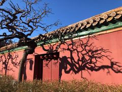 -故宫博物院(故宫)