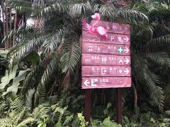 -海南热带野生动植物园