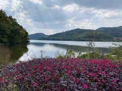 -宁波富邦荪湖山庄