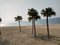 -霞涌市场海鲜摆卖区